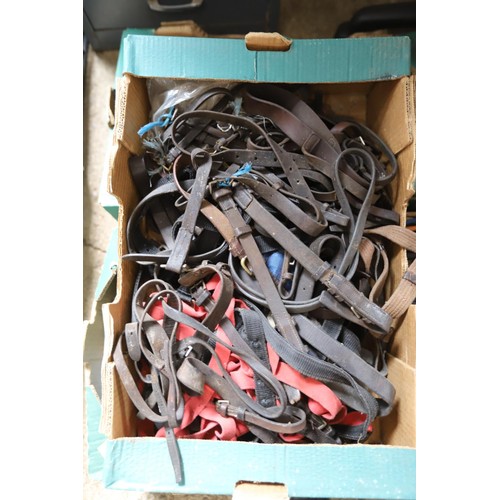 173 - 5 boxes of used equestrian leather horse tack, riding crops & brushes