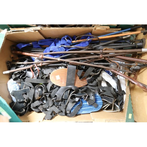 173 - 5 boxes of used equestrian leather horse tack, riding crops & brushes