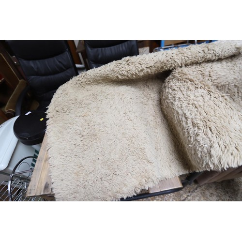 212 - Large beige/grey rug