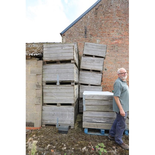 140 - 14 old Apple wooden storage boxes AF