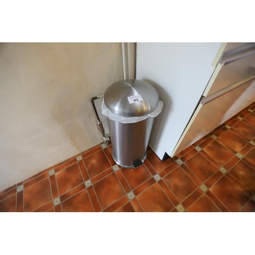 43 - Stainless steel pedal bin