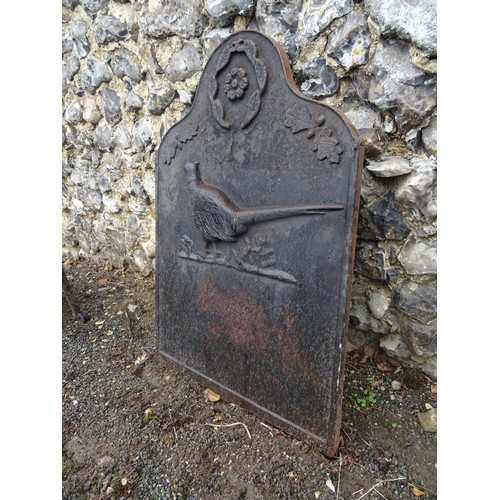 77 - Vintage cast iron fir back with pheasant mofit ( Note : This item is not at Myrtle House Farm : To a... 