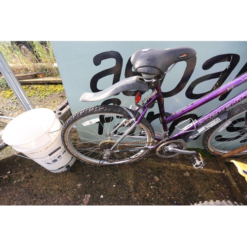 17 - Saphrane sorrento ladies bike, purple with basket & gel cushion seat