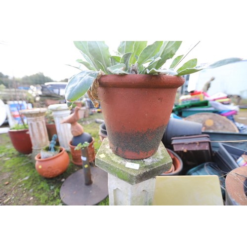 54 - Concrete column & planted pot