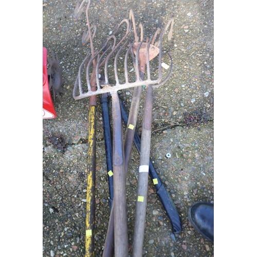 75 - 2 cultivator 5 prong gardening/allotment tools, potato fork, pitchfork & loppers