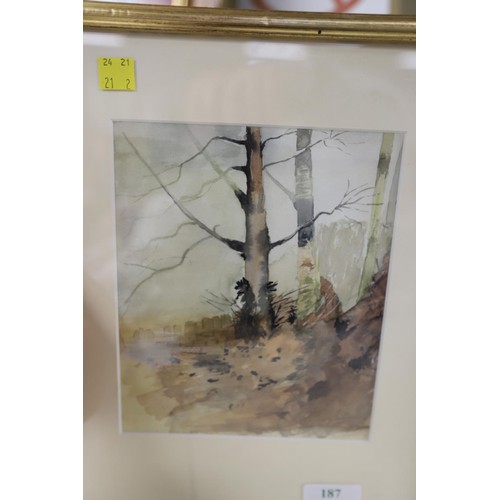 187 - 2 framed & glazed Shirley Bridgman watercolours