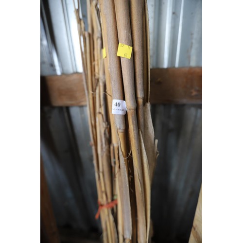 40 - 2 x bundles of bamboo