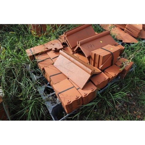 171 - A massive selection of terracotta roof tiles and corner tiles