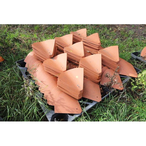 171 - A massive selection of terracotta roof tiles and corner tiles