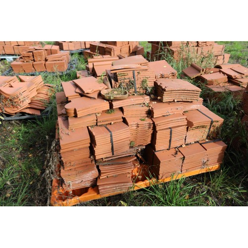 171 - A massive selection of terracotta roof tiles and corner tiles