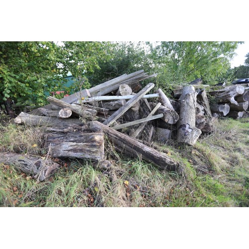 289 - Large pile of tree logs timber