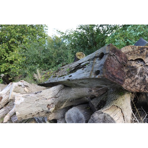 289 - Large pile of tree logs timber