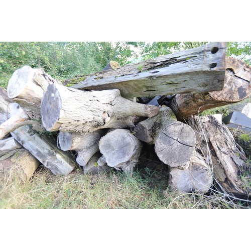 289 - Large pile of tree logs timber