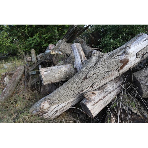 289 - Large pile of tree logs timber