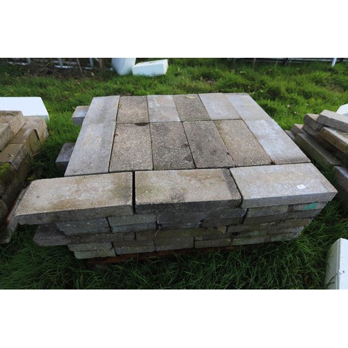 299 - Large quantity of 3 inch By 8” x 17” Concrete blocks