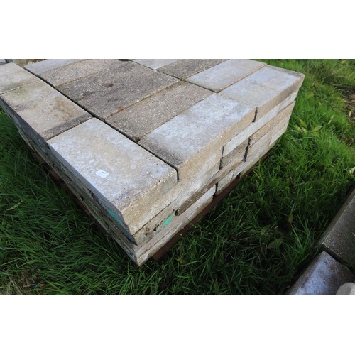 299 - Large quantity of 3 inch By 8” x 17” Concrete blocks