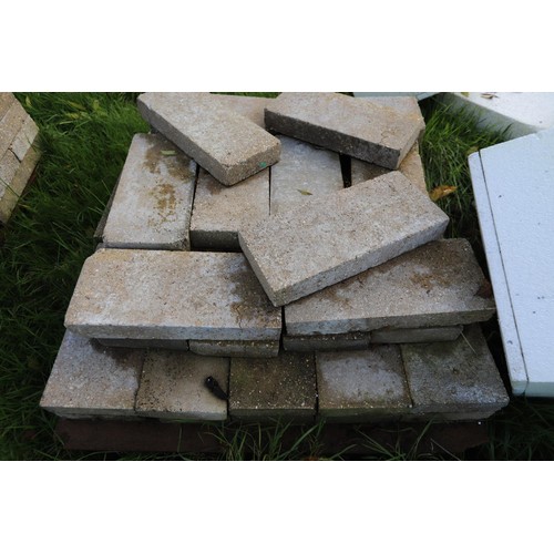 299 - Large quantity of 3 inch By 8” x 17” Concrete blocks