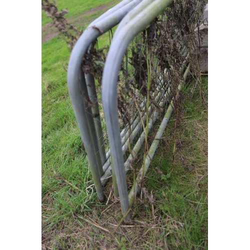 338 - 5 x short Harris fence rails