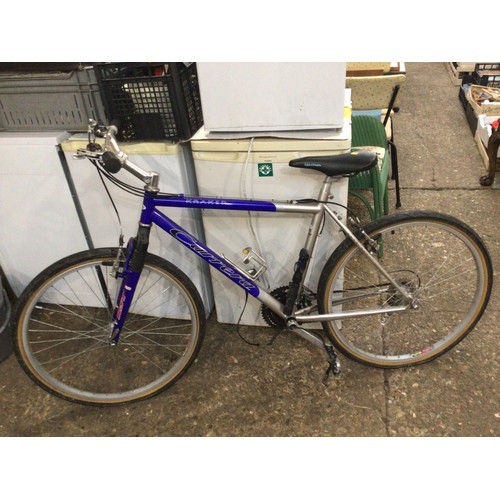 Lot 56        