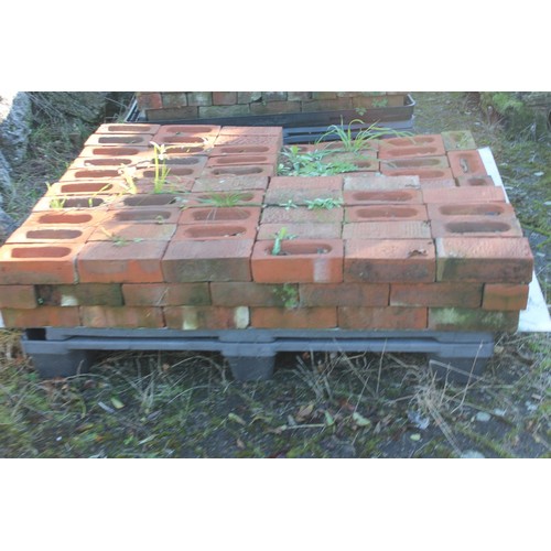 377 - 3 x pallets of bricks