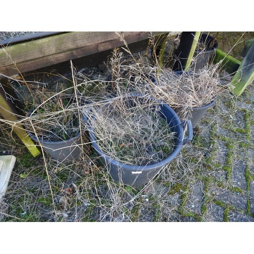 834 - 8 x large plastic plant tubs