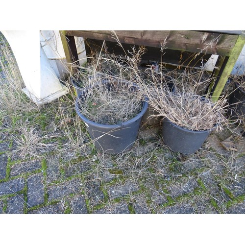 834 - 8 x large plastic plant tubs