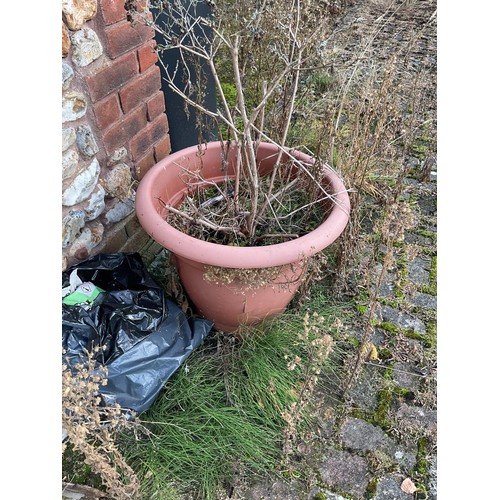 803 - 3 x plastic plant pots & round dish planter