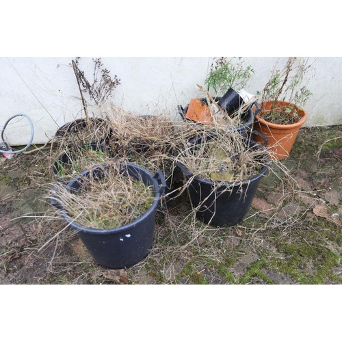 834 - 8 x large plastic plant tubs