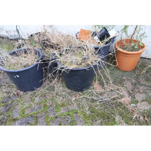 834 - 8 x large plastic plant tubs