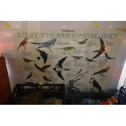 247 - Bird watching equipment, binoculars & bird poster