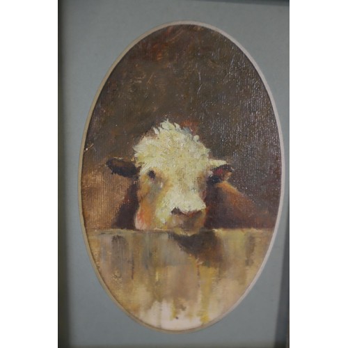 401 - Gilt framed oil painting of a bull approx 11