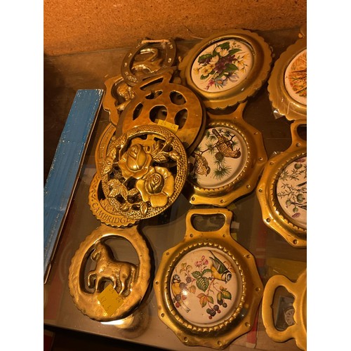 536 - 14 horse brasses with porcelain inserts & various brasses