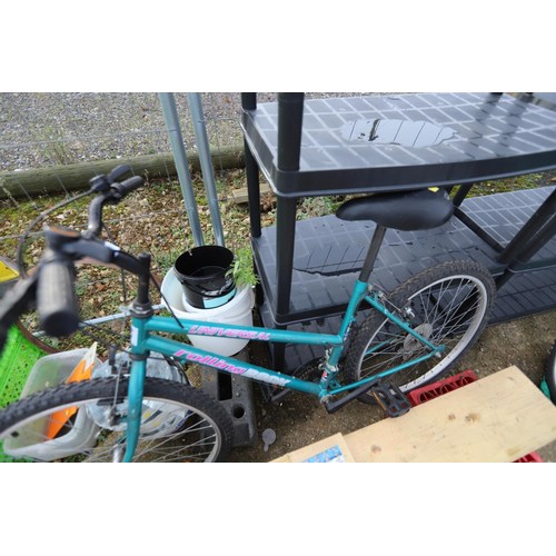 25 - Green universal rolling rock bike