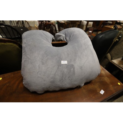 507 - Large pregnant cushion