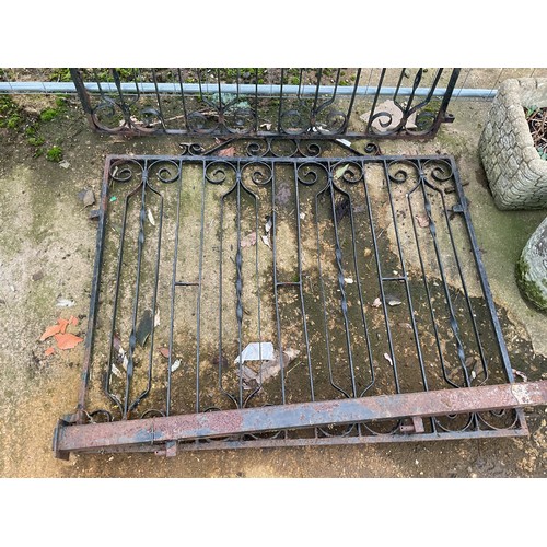 19 - Pair of wrought iron gates