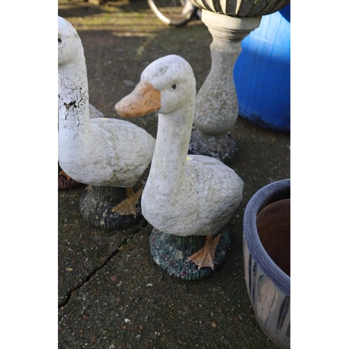 57 - 3 x garden duck ornaments