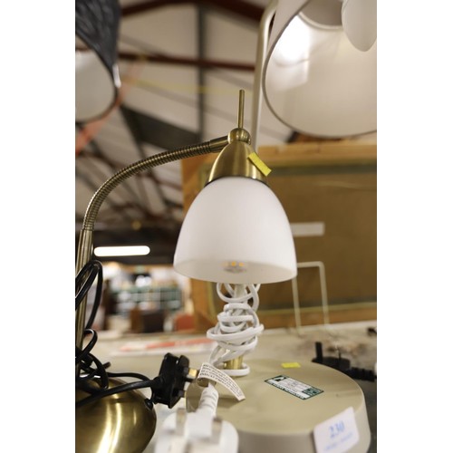 240 - 2 desk/table lamps - warranted until 12 noon Tuesday following the above sale