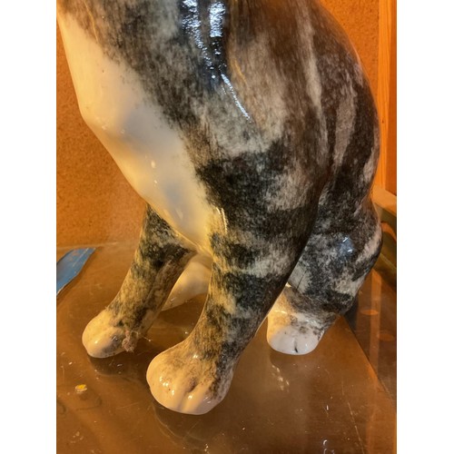 450 - Large sitting Winstanley cat (43)