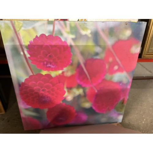 495 - 9 large wall canvases