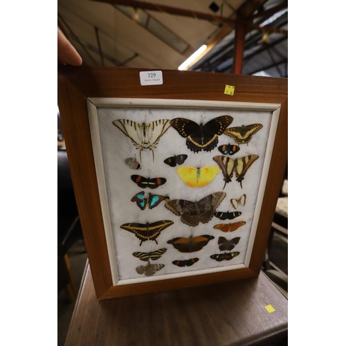 329 - Framed butterfly & moth picture