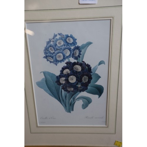 525 - Framed flower prints & others