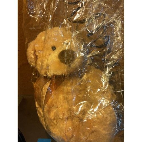 503 - Steiff teddy bear & 2 others