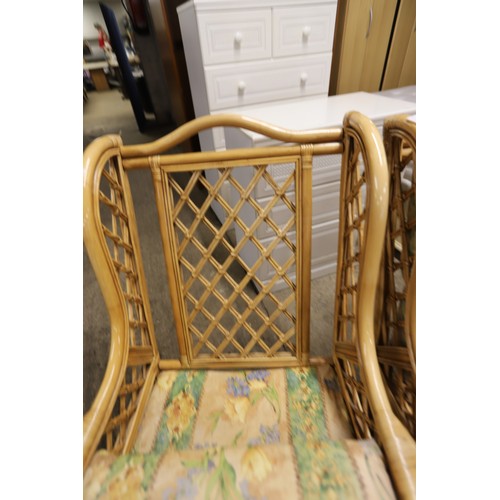 632 - Pair of cane conservatory chairs