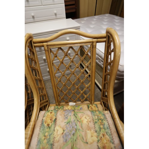 632 - Pair of cane conservatory chairs