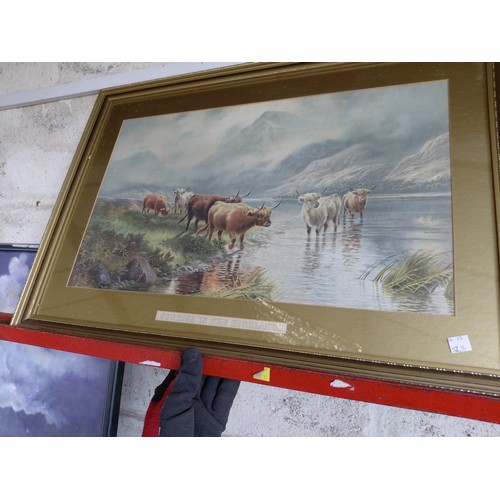 Pair of Highland cattle prints by H R Hall, re-framed about 30 years ago