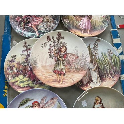 660 - 12 'the enchanted world of the flower fairies' Wedgwood display plates