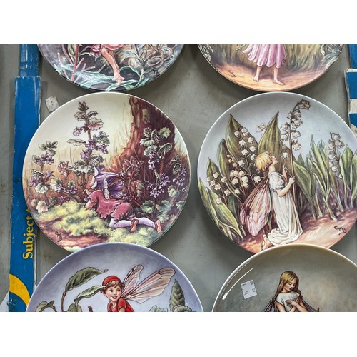 660 - 12 'the enchanted world of the flower fairies' Wedgwood display plates