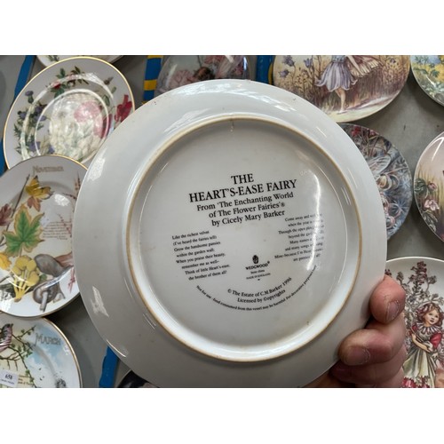 660 - 12 'the enchanted world of the flower fairies' Wedgwood display plates