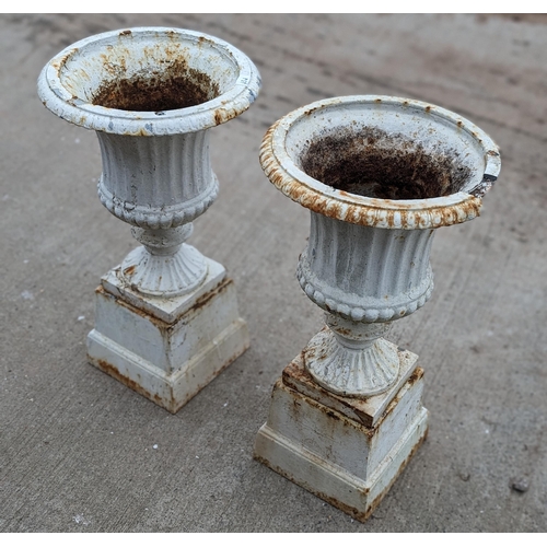 43D - Pair Victorian Campana Pedestal Fluted Urns Each one Raised On a Raised Pedestal. Note Damage to Rim... 