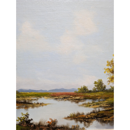 352 - Large Landscape Oil Painting - In Good Condition Signed Lower Right Well Mounted and Framed 93x55cm